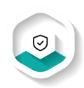 secure icon